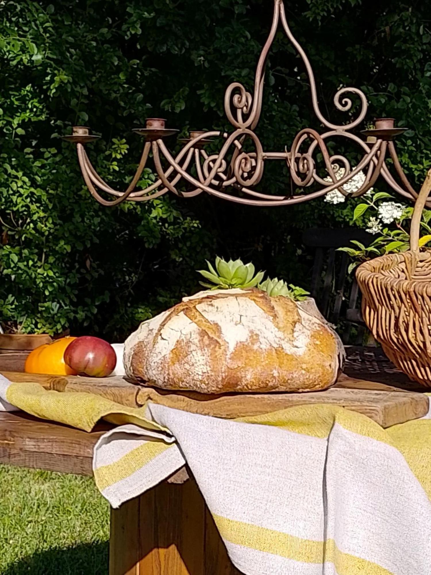 Bastida De Beata Bed & Breakfast Noailles  Exterior photo