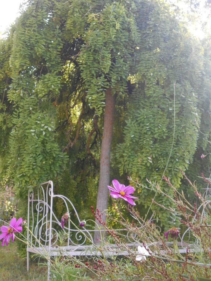 Bastida De Beata Bed & Breakfast Noailles  Exterior photo